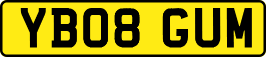 YB08GUM