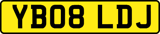 YB08LDJ