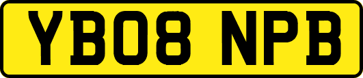 YB08NPB