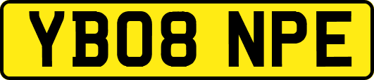 YB08NPE