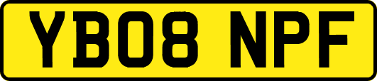YB08NPF