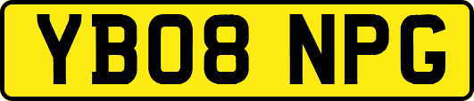 YB08NPG