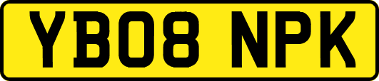 YB08NPK