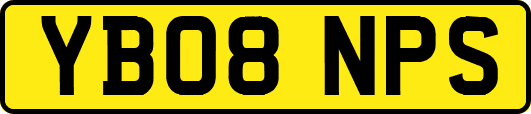 YB08NPS