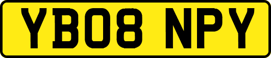 YB08NPY