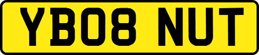 YB08NUT