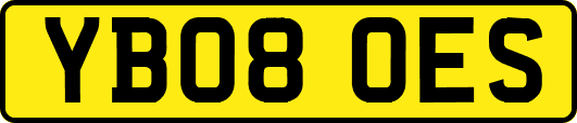YB08OES