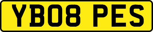 YB08PES