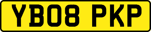YB08PKP