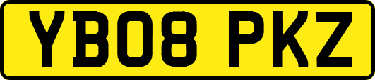 YB08PKZ
