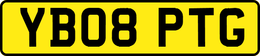 YB08PTG