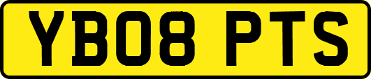 YB08PTS