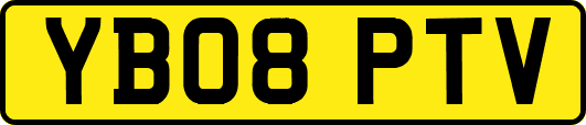 YB08PTV