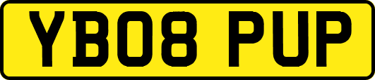 YB08PUP