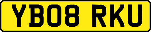YB08RKU