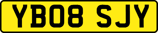 YB08SJY