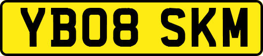 YB08SKM