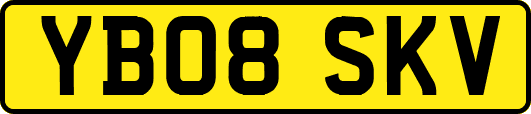 YB08SKV