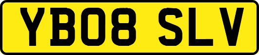YB08SLV