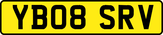 YB08SRV