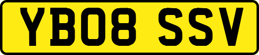 YB08SSV
