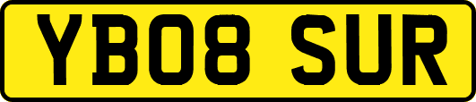 YB08SUR