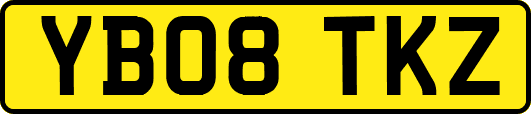 YB08TKZ
