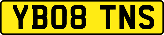 YB08TNS