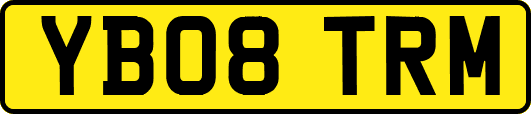 YB08TRM