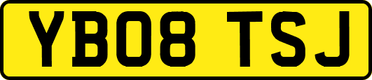 YB08TSJ