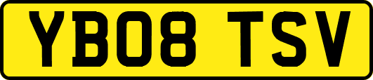 YB08TSV