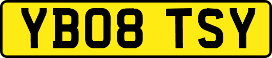 YB08TSY