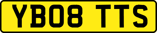 YB08TTS