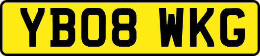YB08WKG