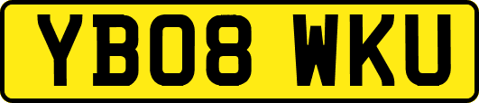YB08WKU
