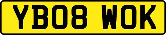 YB08WOK