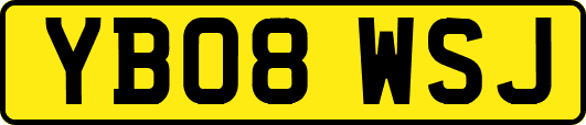 YB08WSJ