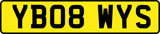 YB08WYS