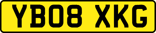 YB08XKG