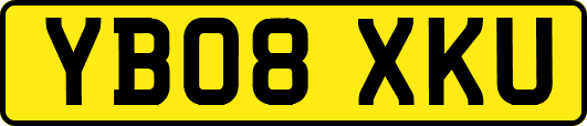 YB08XKU