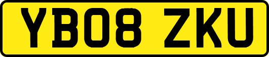 YB08ZKU
