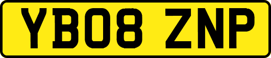 YB08ZNP