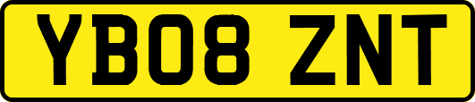 YB08ZNT