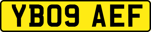 YB09AEF
