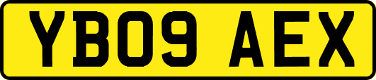 YB09AEX