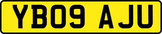 YB09AJU