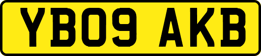 YB09AKB