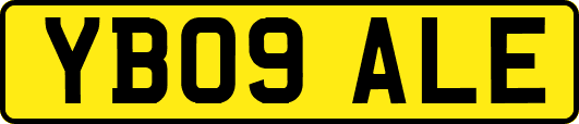 YB09ALE