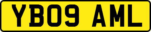 YB09AML