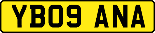 YB09ANA